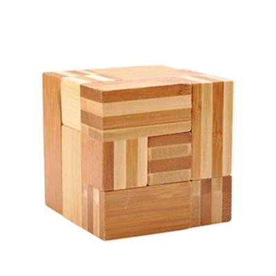 China Funny Educational Wooden Puzzle Toy Luban DIY Lock Brain Teaser Kids Wooden Toy IQ Puzzle for sale