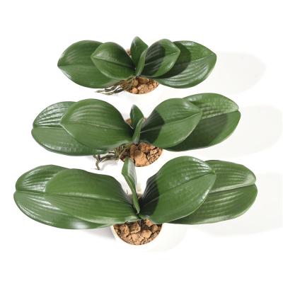 China Wholesale Home Decoration YOPIN-109 Real Touch Artificial Orchid Leaves PU Phalaenopsis Leaf For Flower Arrangement for sale