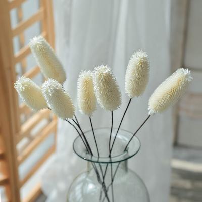 China Dipsacus YOPIN 101 dry flower bouquet bridal preserved dry flower bouquet preserved wedding dry flower bouquet bridal preserved Dipsacus sativus for sale