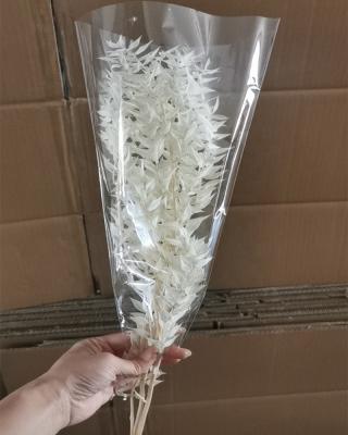 China Fern Leaves White Leaves Dry Flower Wedding Bouquet by YOPIN 102 Dry Leaves Decoration Preserved Dry Leaves Fern Leaf White Leaves for sale