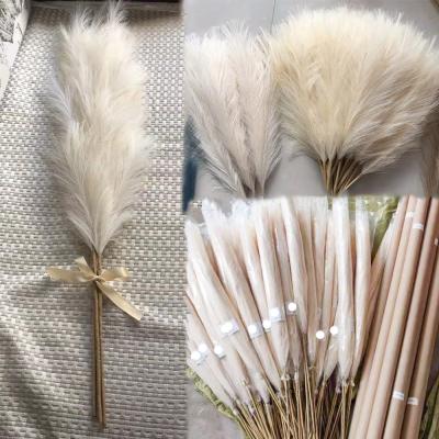 China YOPIN A23 Artificial Pampas Grass Silk Large Silk Pampas Grass Wedding Decoration Amazon Pampas Grass Large Artificial Pampas Grass for sale