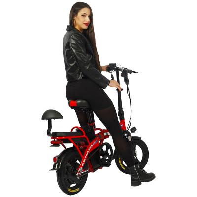 China IRON Double Seats Fast Electric City Bike Long Range Electric Bike Folding 48v Electric Bike for sale