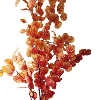 China Natural Flower Wholesales Preserved Flower Eucalyptus Leaves Naturally Apple Eucalyptus Leaves Decoration Weeding Arrangements for sale