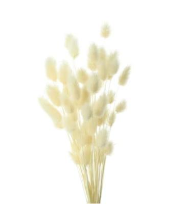 China Dried Flowers Wedding Decoration Pampas Grass Bridal Bouquet Dried Boutonniere Bunny Tails Flower Bouquet for sale