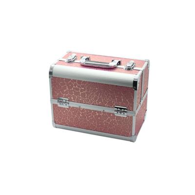 China Assets; High Quality Stylish Stylish Aluminum Cosmetic Case Professional Make Up Organizer Multifunctional Tool Storage Box for sale