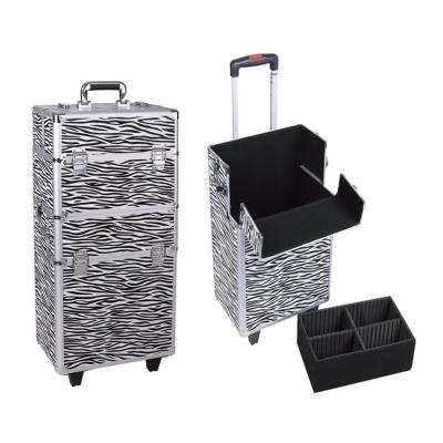 China 2in1 Suitcase Portable Aluminum Trolley Luggage Makeup Nail Trolley Hand Case for sale