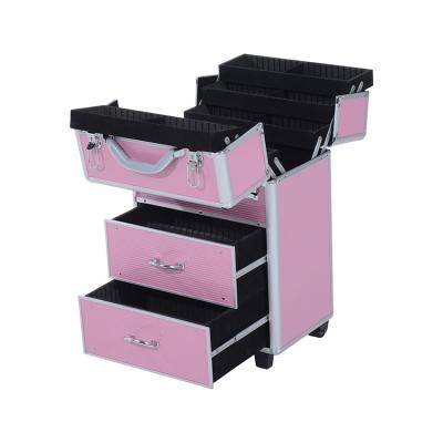 China Beautiful Pro Rolling Rolled Aluminum Storage Trolley Makeup Luggage Suitcase for sale