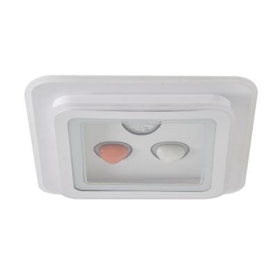 China New Arrival High Quality Modern Flush Mounted Outdoor Ceiling Light Smart Remote Control Led Ceiling Light for sale