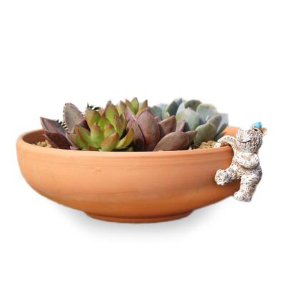 China eco-friendly home and garden terracotta succulent pot/succulent planter/plant succulent pot for sale