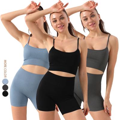 China New Breathable Waistdear Design Custom Logo Ribbed Women Short Sportswear Gym Set Seamless Fitness Yoga Wear for sale