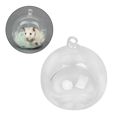 China Waterproof Glass Transparent Hamster Hut Portable Hamster Cooling Nest For Small Animal for sale