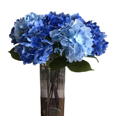 China High Quality Silk Real Touch Hydrangea 5 Head Artificial Flower For Wedding Decoration for sale