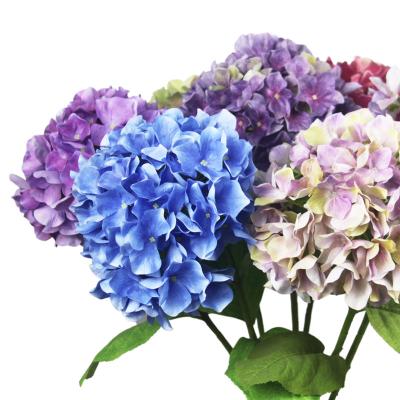 China 3D printed Wholesale Silk White Hydrangea Artificial Hydrangeas Flower For Wedding for sale