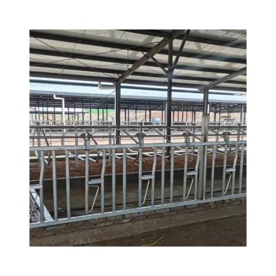 China Cow Farm Type New Cheap Hot Dip Galvanized Dairy Cow Key Lock For Sale for sale