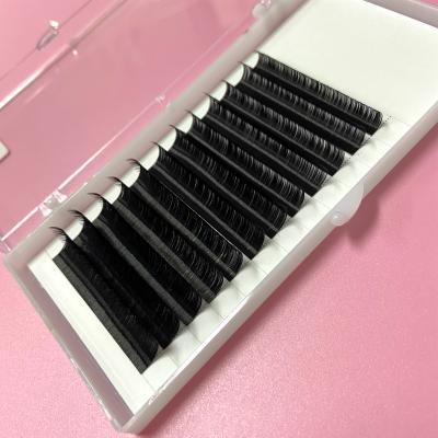 China Wholesale volume lash extension eyelash extensions, 3d lahes extensions supplies mink lash extensions supplies glitter lash tray private label lash extensions for sale