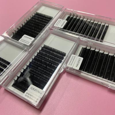 China Individual Volume Wick Extension New Arrival Eyelash Extensions And Easy Fan Classic Volume Lashes Las Extension Supplier Extensions for sale