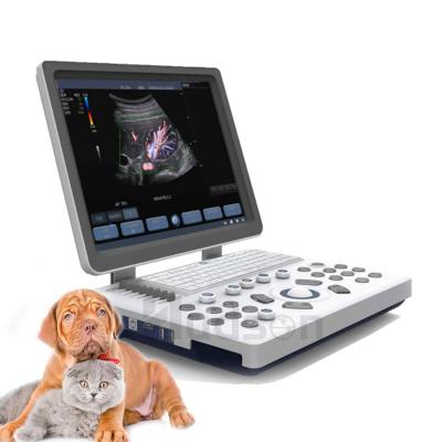 China Portable Plastic and Metal Laptop B&W Ultrasound Scanner Machine Dogs Veterinary Ultrasound Scanner for Animal for sale