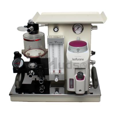 China Plastic And Metal Mini Small Animal Anesthesia Machine Cheap Price Veterinary Anesthesia Machine For Vet Hospital Clinic Equipment for sale