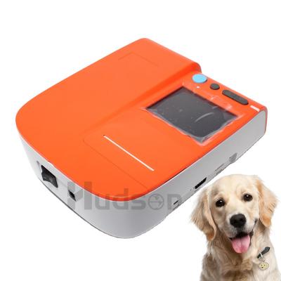 China Plastic Progesterone Analyzer Canine Dog Progesterone Machine Dogs Progesterone Tester for sale