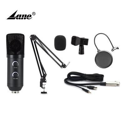 China Other Lane BM300 ECHO Mic Professional Condenser Microphone with Stand and Noise Filter for Webcast Live Recording Broadcasting for sale