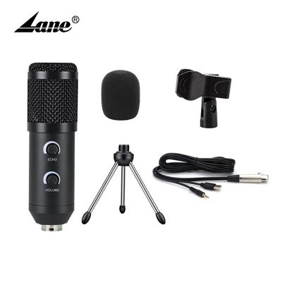 China USB Microphone Lane Wholesale Price Wired Recording BM300 Condenser Microphone For Webcast Live Studio Singing Recording Broadcasting for sale