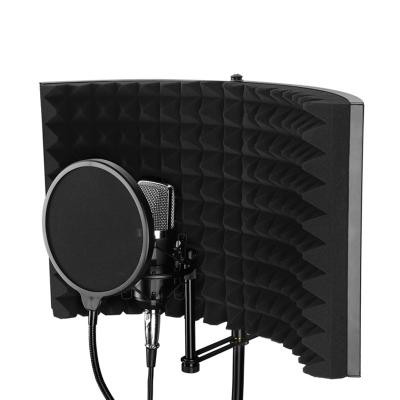 China Professional Studio Bm800 Condenser Lane 2 Panels Metal Microphone Isolation Popa Shield Wind Screen for sale