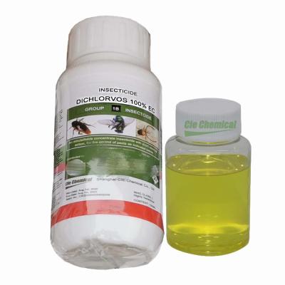 중국 Crop DDVP Insecticide 1000ec Dichlorvos Insektisit Liquid 판매용