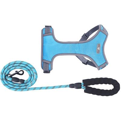 China Durable Pet Exit Hand Holding Rope Set Dog Chain Labrador Dog Leash Chest Strap for sale