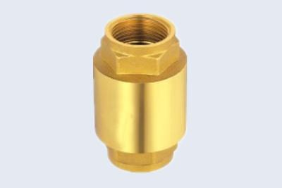 China Heavy Brass Valve 1.6Mpa Spring Non Return Valve for sale