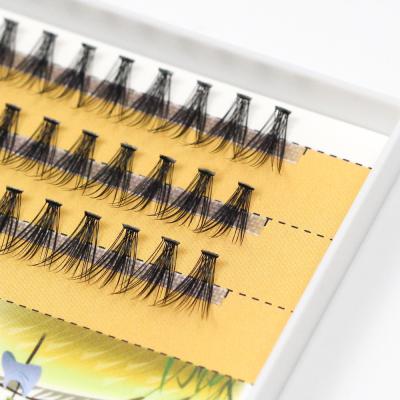 China Different World 20D Thick Eyelash 60 Graft Pcs To Make Up 0.07/0.1 8-15mm Volume Thick Eyelashes Russia for sale