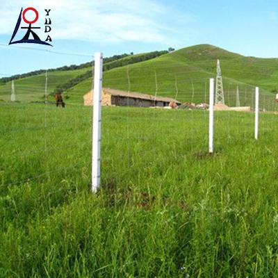 China Farm Grassland Fence With Fence Posts Galvanized High Tensile Wire Fence for sale