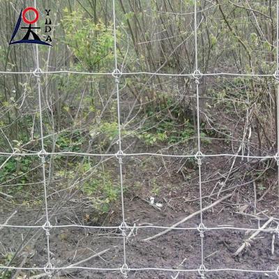 China Goat Farming Cattle Sheep Railing Fence Metal Fixed Knotted Iron Wire Mesh for sale