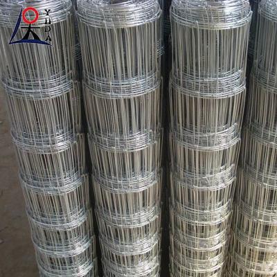 China Poultry Galvanized Iron Wire Mesh Hinge Joint Field Goat Horse Field Fence for sale