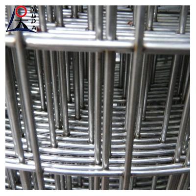 China 2x2 Galvanized Welded Wire Mesh Fence Roll With Fine Wire Diameter 4.0mm for sale