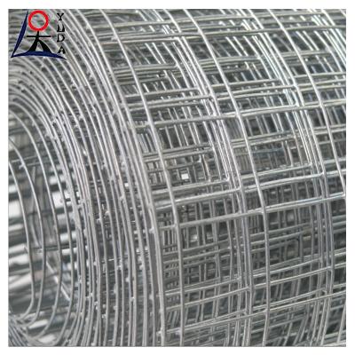 China Galvanized / PVC Coated / Stainless Steel Welded Wire Mesh Fence for sale