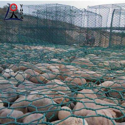 China PVC-gecoate Gabion Box 2x1x1 Wire Mesh Gelast Gabion Basket Gabion Mesh Te koop