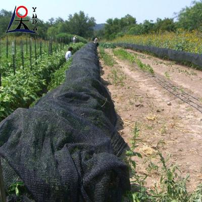 China 30gsm-300gsm HDPE Sun Shade Net Greenhouse Vegetable Garden for sale