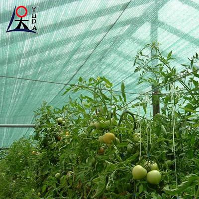 China Anti UV Greenhouse agricultural shade cloth 40 Rate Dark Green for sale