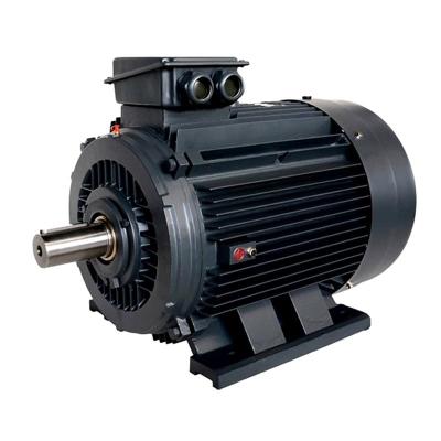 China YE2-200LB-2-55KW three-phase asynchronous motor YE2-200LB-2-55KW for sale