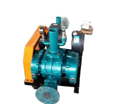 China XWR-100V Roots Vacuum Pump 100mm  Shandong, China Customized Color High Pressure for sale