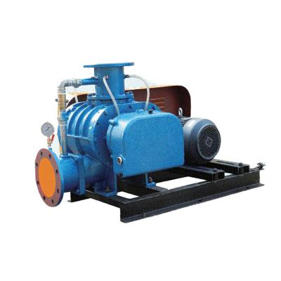 China Special Type Roots Blower Transport Nitrogen Gas Pressure Blower for sale