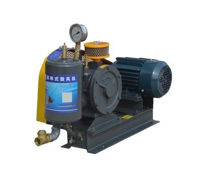 China Plant 500LPH 25S Rotary Blower For Water Treatment Aeration for sale