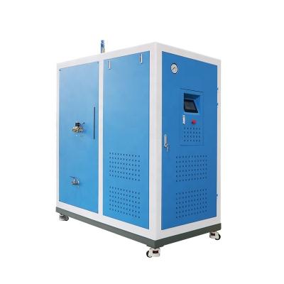 China VERTICAL Beiste 0.3T 200kg 300kg 500kg Natural Gas And Diesel Oil Steam Generator for sale