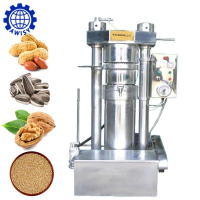 China Factory Cold and Hot Press Peanut/Sunflower Seed Use Hydraulic Hazelnut Oil Processing Machine for sale