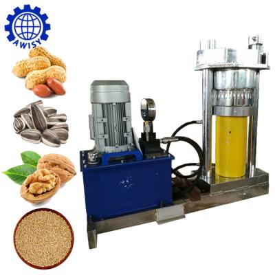 China Hydraulic factory house small olive/apricot kernel/mango seed oil extraction machine for sale