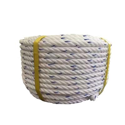 China Multi filament 6mm high tenacity China pp mono filament rope danline 8mm 10mm 12mm 14mm 16mm 18mm 20mm for sale