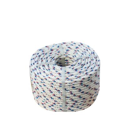 China Outdoor Climbing Customized Fishing Colorful 3 Strands Twist Polyethylene Rope for sale