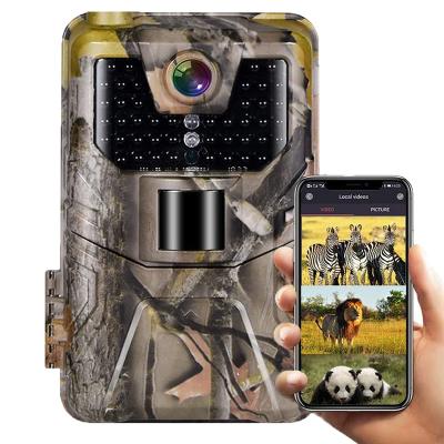 China WIFI Live Stream 4K Wireless System Hunting APP Live Show Trail Cameras 940nm IR LED Camera 24MP 1296P No Glow Night Vision Wildlife Monitoring for sale