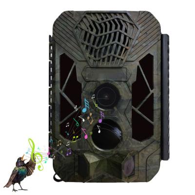 China 20MP 1080P Hunting Trail Camera Wildlife Tracking Surveillance HB561 Infrared Wild Night Vision Cameras Photo Traps 2.8