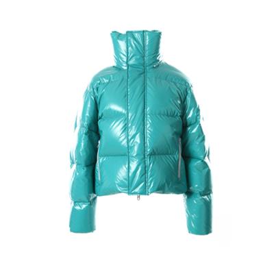 China Manufacturer Customized Shiny Women's Winter Goose Short Stripper Coat Waterproof Down Jacket For Winter for sale